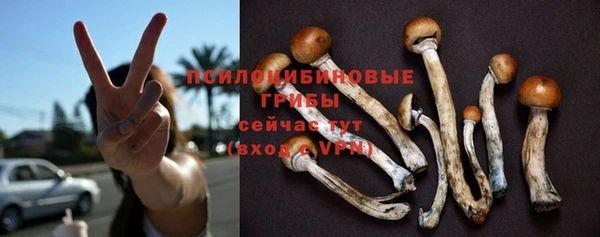 мескалин Новодвинск
