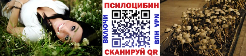 Псилоцибиновые грибы Magic Shrooms  где продают наркотики  Томск 