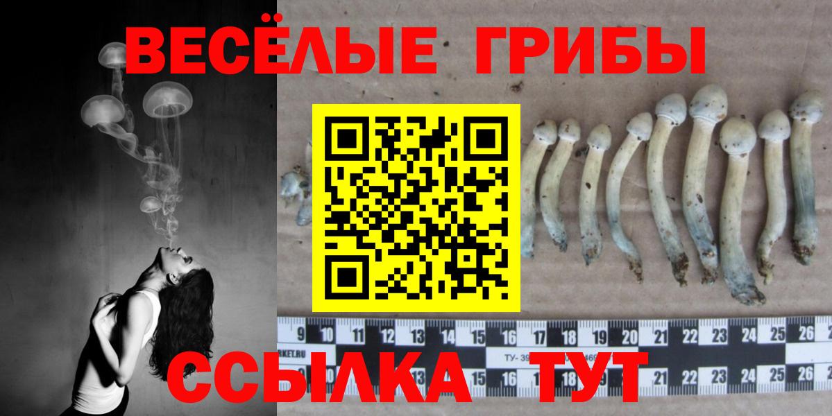 Галлюциногенные грибы Cubensis  Вход с VPN  купить наркотик  Томск  Псилоцибиновые грибы Magic Shrooms 