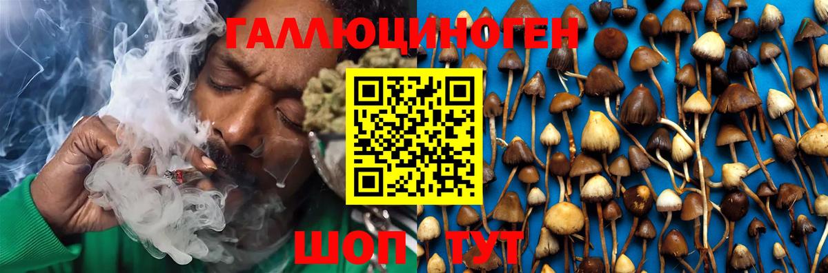 Галлюциногенные грибы мухоморы Томск