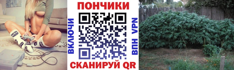 Канабис LSD WEED  как найти   Томск 